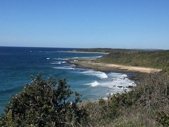 Angourie Walking Track